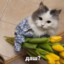 Букет_Тебе!♥