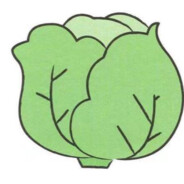 Cabbageman大翔丸哒