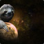 Space Sloth