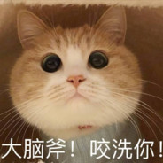 拆家团团长猛虎