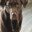 Beauman