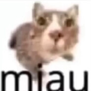 Miauuu27