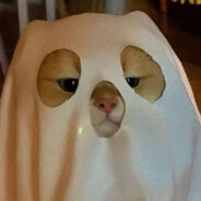 看不见我看不见我biubiubi