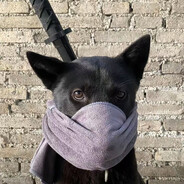 抽碳举铁大比利