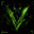 v9n0m