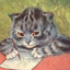 MeowMeow