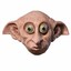 DOBBY THE TERRORIST