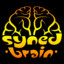 Syned Brain