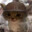 MothMan