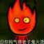 钓鱼高手z