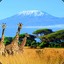 Mt. Kilimanjaro