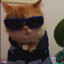 DJ cat
