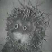 Обкуренный ЁЖИК