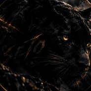 setoo's avatar