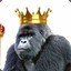 Gorilla King (GER)