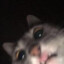 maestroN