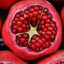 LOVE pomegranate