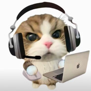 你是不是油猫饼