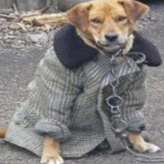 Aleksib сахтзани деркаш