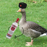 That_Goose