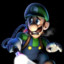 Mr. Luigi