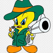 𝒑𝒊𝒐𝒍𝒊𝒏