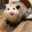 CoolOpossum1821