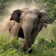 tharunprabashwara835