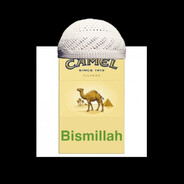 CamelAga_1