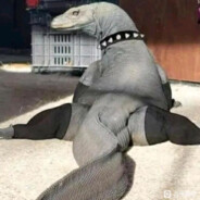 转生古代士兵天天守营