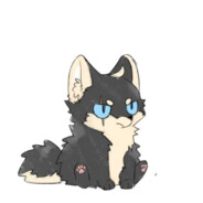 界钟会（权99）