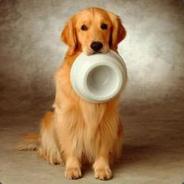 不为谁而作的歌