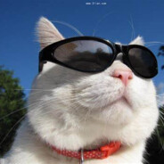 TGU第一突破手牛爷爷