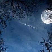 总有刁民要害朕