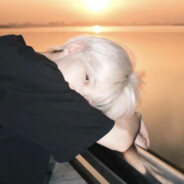 相逢何必曾相识