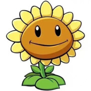 元婴渡劫期大乘高手