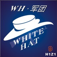 WH_ 终生