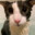 mb Steam avatar