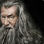 Gandalf the gray