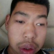 是最伟大的驴子哥