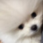 태훈