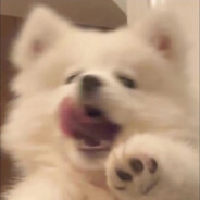 There is no sin today