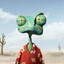 Rango
