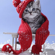 foxel Prostoj GGrust