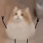 永远爱结城明日奈