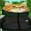Kitke