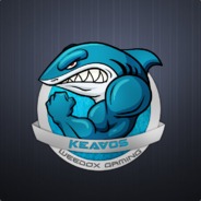 KeaVoS™ ケヴォス avatar
