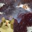 Space_Kittens