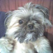 I close the fridge with my hips