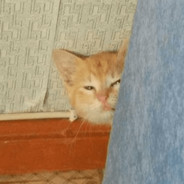 brokencatnigga - steam id 76561197961784376